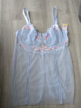 Auden Light Blue Mesh Chemise with Pink Floral Embroidery